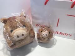 【新品未開封】神大うりぼー ぬいぐるみ 神戸大学のサムネイル