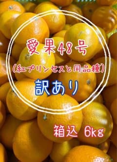 １４＊3/7発送予定★愛果48号 紅プリンセスと同品種 訳あり 規格外 6kgのサムネイル