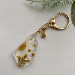 331 ドライフラワー　押し花　レジン　キーホルダー　ミモザ　ボタニカルのサムネイル