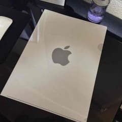 【しーま様専用】Apple クリアファイル(非売品)のサムネイル
