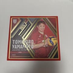 男子バレー トレーディングmini色紙 山本智大 選手 箔押しサイン入り