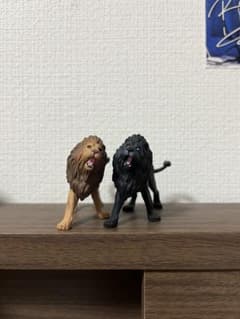 【アニア】【限定】ライオンセットのサムネイル