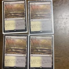 MTG 4枚 湿地の干潟のサムネイル