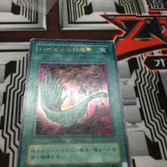 ハーピィの羽根箒のサムネイル