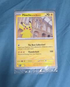 未開封】ピカチュウ博物館 プロモ Pikachu At The Museum - メルカリ