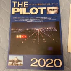 ザ・パイロット 2020のサムネイル