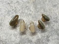 秋　ネイルチップのサムネイル