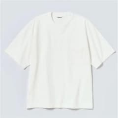 AURALEE   STAND UP Tのサムネイル