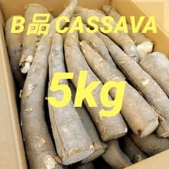 B品 キャッサバ芋 5kg CASSAVA マンジョッカ YUCA ブラジル - メルカリ