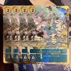 フィジカル・トレーニング　パラレル　プロモ　プレミアムカードコレクション　4枚 メンタル・トレーニング パラレル プロモ プレミアムカード