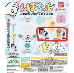 んぽちゃむ ガチャガチャ つまんでつなげてますこっとのサムネイル