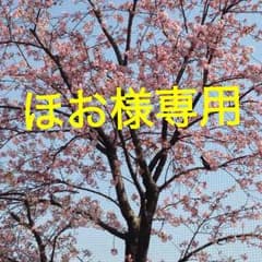 バンビDVD 専用ですのサムネイル