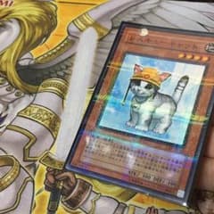 遊戯王 レスキューキャット ノーパラのサムネイル