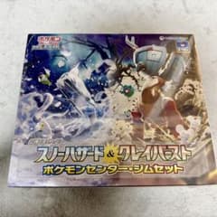 新品未開封 シュリンク付き ポケモンカードゲーム ジムセット