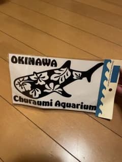 沖縄 チュラウミ水族館 ステッカーのサムネイル