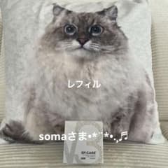 【正規品】スピケア V3 ブリリアントファンデーション レフィル ロット番号付のサムネイル