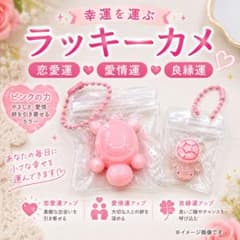 【値下げ980円⇒880円】 カメさんスクィーズBC&ラッキーカメ 4点セットのサムネイル