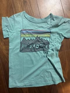 【patagoniaTシャツ　パタゴニア　ノースフェイス　ビームスミニのサムネイル