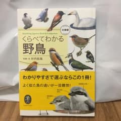 【nicky様専用】くらべてわかる野鳥のサムネイル