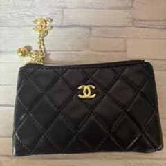 CC coin case