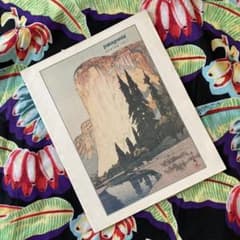 パタゴニア　カタログ　2016年 中古・古着通販】Patagonia (パタゴニア) RPS ロックパンツ