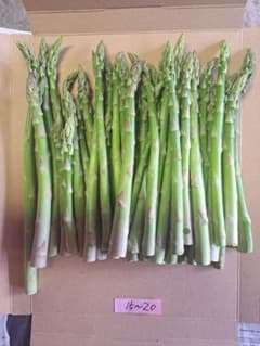 北海道産B品アスパラガス ！500gのサムネイル