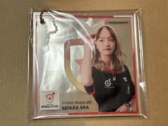 阿嘉 紗香プロ　ランダムアクリルミニ色紙のサムネイル