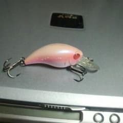 ワイルドハンチSRのサムネイル