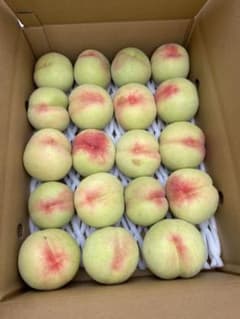 摘果桃 3.5kg デカい シャキシャキ - メルカリ