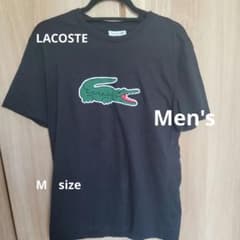メンズラコステTシャツのサムネイル