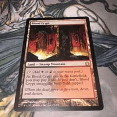 血の墓所 mtg - メルカリ