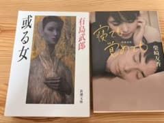 文学小説 或る女 有島 武郎/寝ても覚めても 柴崎 友香のサムネイル