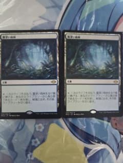 MTG 霧深い雨林 日本語版 2枚セットのサムネイル