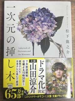 一次元の挿し木 松下龍之介 宝島社文庫のサムネイル