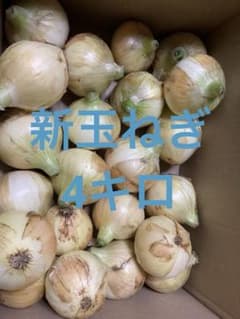 静岡県産　新玉ねぎ　黄玉 4キロのサムネイル