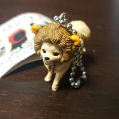 ワンコス　ポメライオンのサムネイル