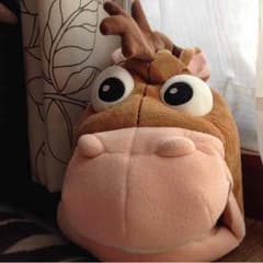 ブルズアイのサムネイル