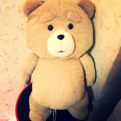 tedのサムネイル