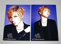Acid Black Cherry 蝶 ポストカードセット - メルカリ