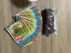 ブロッコリースプラウト！栽培セット！タネつき！のサムネイル
