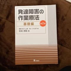 発達障害の作業療法 基礎編 実践編セットのサムネイル