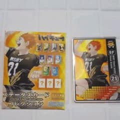ハイキュー　ステータスカードのサムネイル