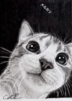 猫❤️ネコ ねこ 原画 鉛筆画 色鉛筆画 絵画 手描き イラスト Lサイズ