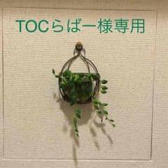 キルゾーンのサムネイル