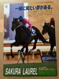JRA ヒーロー列伝 5枚セット　NO.41〜45 エアグルーヴ、ヒシアマゾン他 JRA ヒーロー列伝 5枚セット NO.41〜45 エアグルーヴ、ヒシ