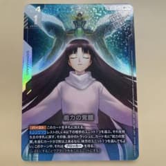 能力の覚醒 大会優勝 プロモ パラレル - メルカリ