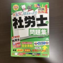 2024年度版 みんなが欲しかった! 社労士の問題集のサムネイル