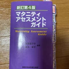 マタニティアセスメントガイド　母性実習のサムネイル
