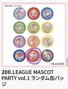 B.LEAGUE 缶バッジ ディーディー 名古屋ダイヤモンドドルフィンズ