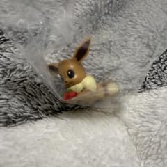ポケモン　まんぷくぱくぱくマスコット4 イーブイのサムネイル